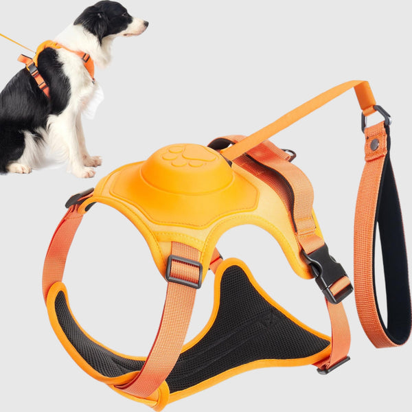 DoggyKing™ 3 in 1 Dog Harness with Built-In Leash