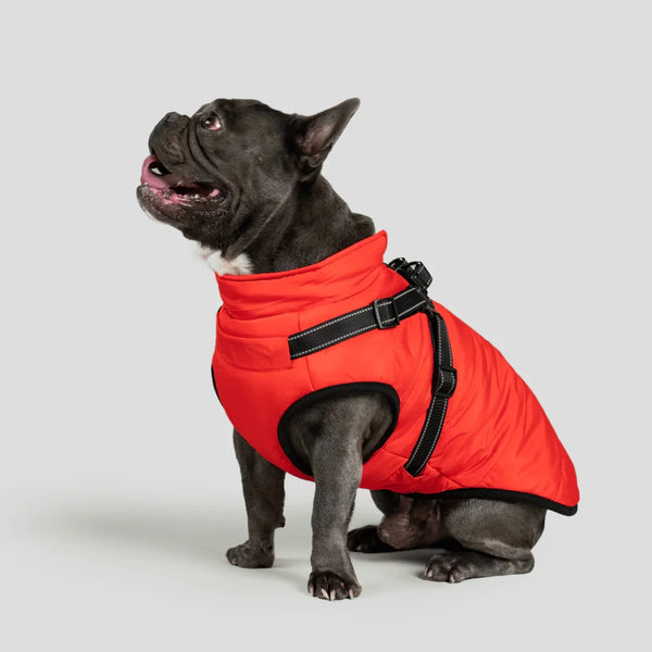 DoggyKing™ 3 in 1 Jacket