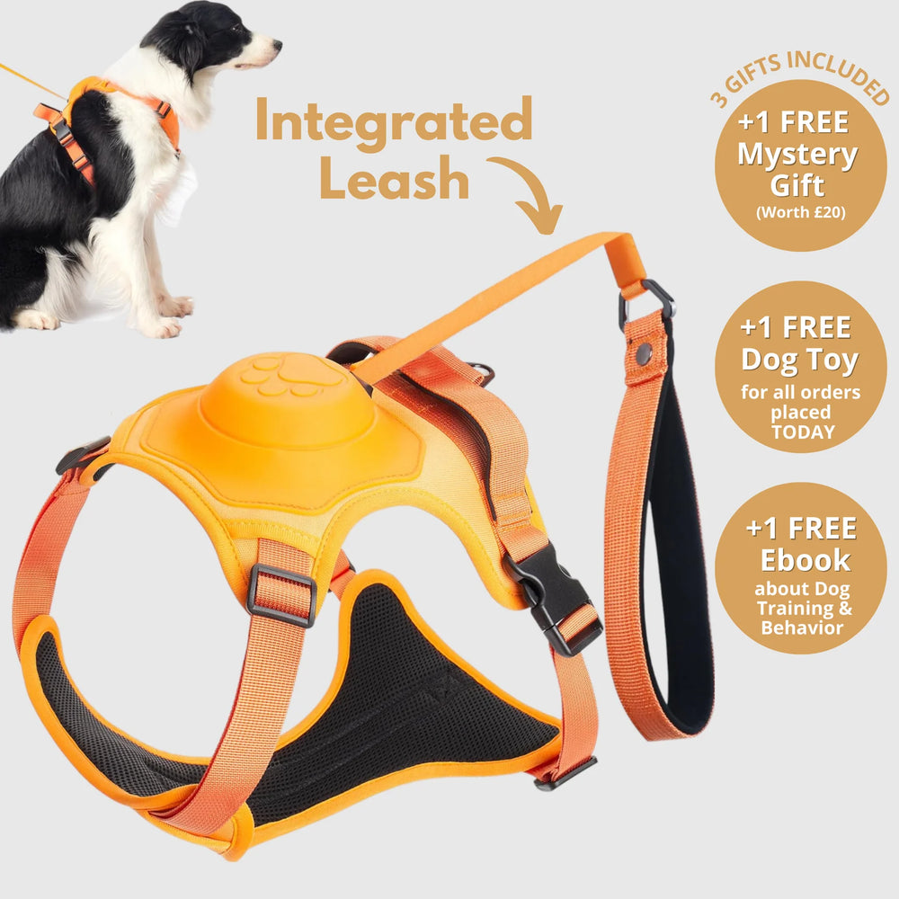 DoggyKing™ in Dog Harness with Built-In Leash