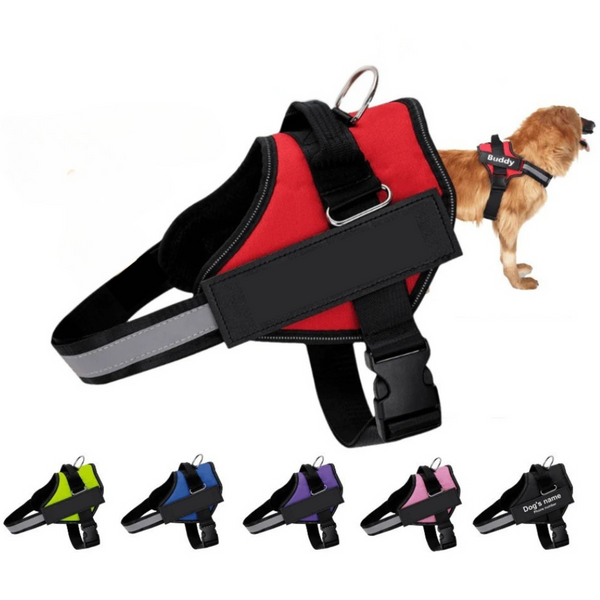 DoggyKing™ Ultimate No Pull Dog Harness