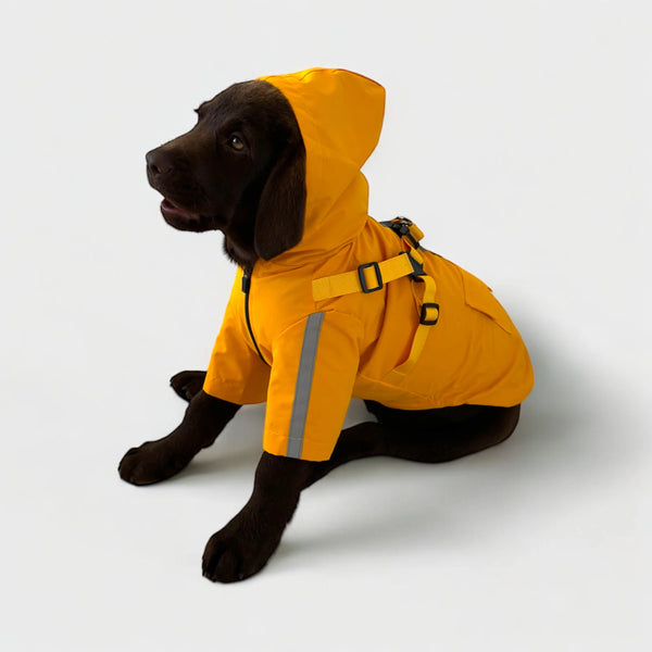 DoggyKing™ 3 in 1 Rain Coat